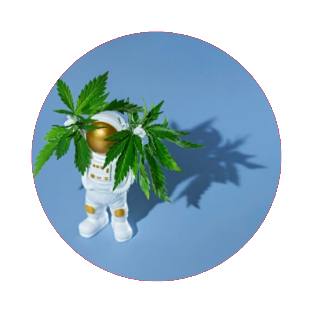 astronaut tienda cbd tudela