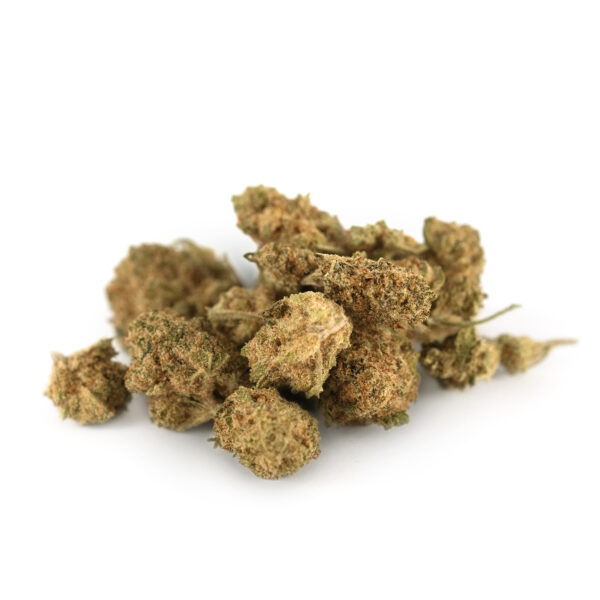 Biscoti Indoor - Olympus CBD