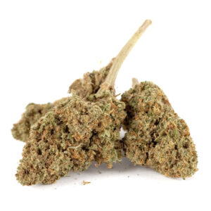 Biscoti Outdoor - Olympus CBD