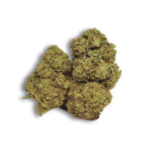 Kritikal - Arima CBD