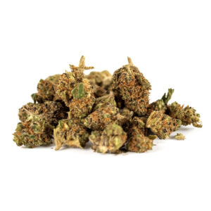 White Purple Indoor - Olympus CBD
