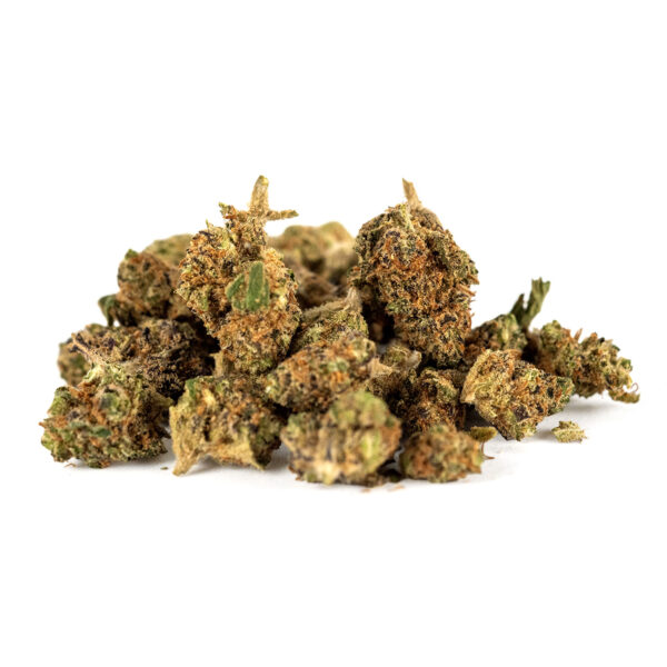 White Purple Indoor - Olympus CBD