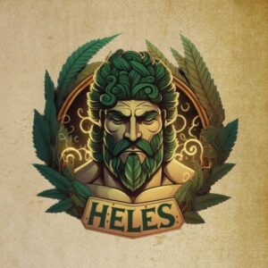 Zkittlez Outdoor - Olympus CBD - Imagen 3