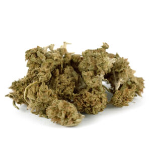 White Purple Outdoor - Olympus CBD