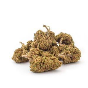 Amnesia Haze Greenhouse - Olympus CBD