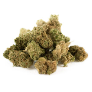 Mango Indoor - Olympus CBD