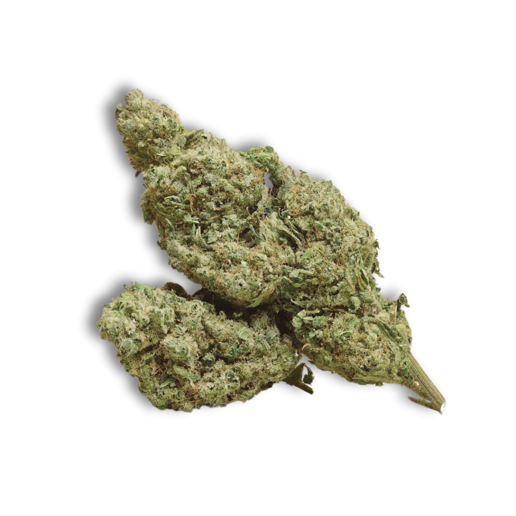 Northern Lights Indoor - Arima CBD