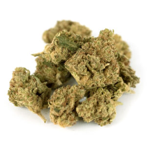 Vainilla Indoor - Olympus CBD