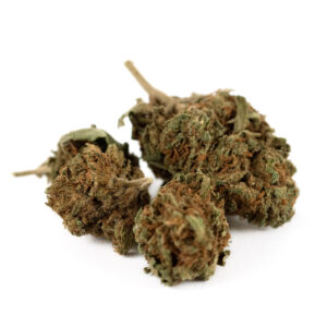 Orange Cookies Greenhouse - Olympus CBD