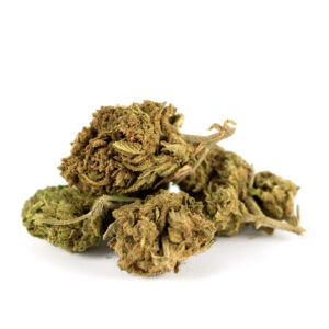 Amnesia Haze Greenhouse - Olympus CBD