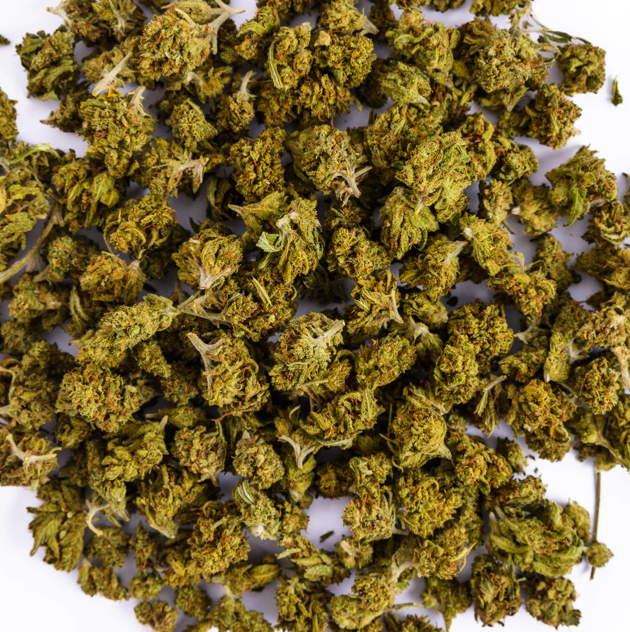 Blue Kong Greenhouse - Fanatics CBD