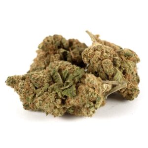 Biscoti Premium - Olympus CBD