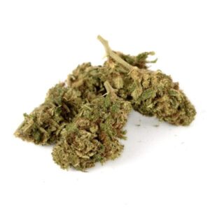 Gelato41 Premium - Olympus CBD