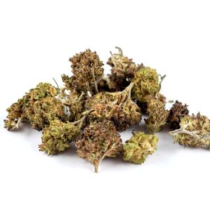 Purple Punch Greenhouse - Olympus CBD