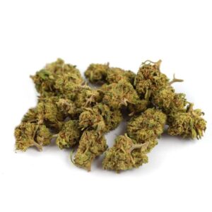 Critical Greenhouse - Olympus CBD