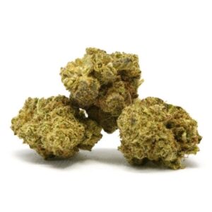 White Purple Premium - Olympus CBD
