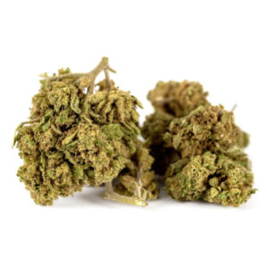 Gorilla Glue Greenhouse - Olympus CBD